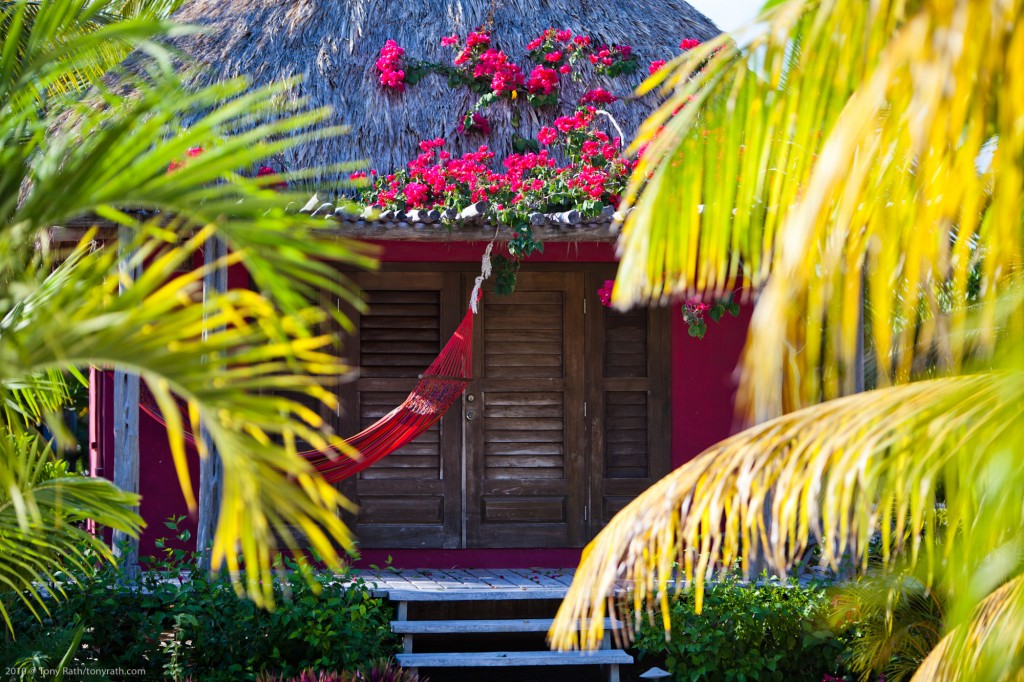 TR_110121_MataChica_0571