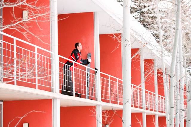 winter guest on balcony